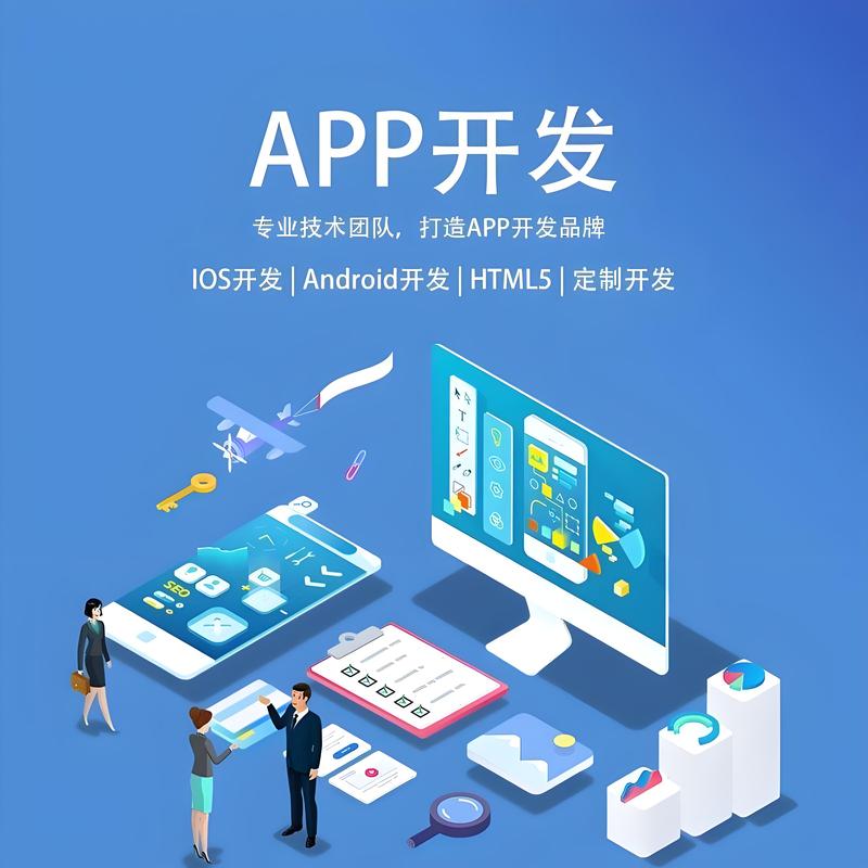 四川软件开发案例分析：打造高效IT解决方案